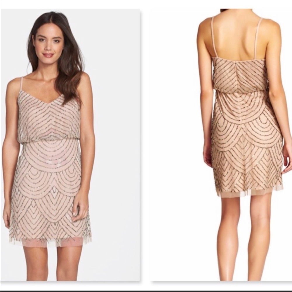 Adrianna Papell Dress In Blush NEW